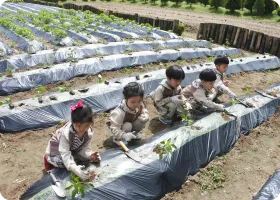 다양한 채소 심기